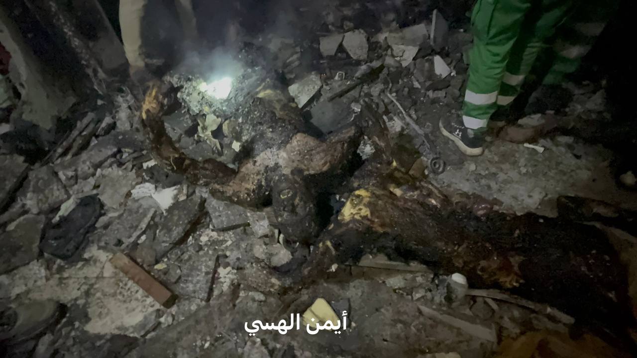 فهمي الجرجاوي 03